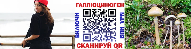 МЕГА зеркало  Нижний Тагил  Псилоцибиновые грибы мицелий 